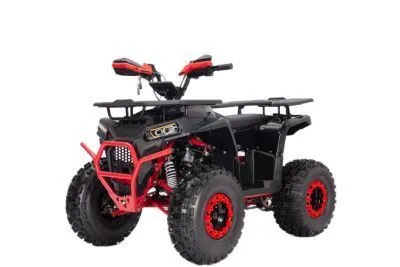 Квадроцикл YACOTA (Якота) VEKTOR 125 LUX чёрный/красный (машинокомплект)
