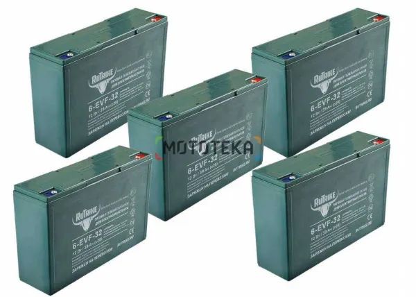 Комплект тяговых гелевых аккумуляторов RuTrike 6-EVF-32 (60V32A/H C3)