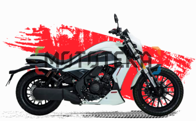 Мотоцикл чоппер / круизер Dayun (Даюн) DY500 - 6F серый с ПТС