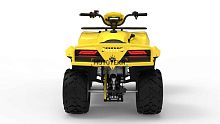 Квадроцикл IRBIS (Ирбис) ATV 250 LUX 2024 желтый с ПСМ