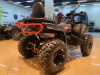 Квадроцикл FXMOTO (ФХмото) WASP 250 чёрный (машинокомплект) - купить с доставкой, цены в интернет-магазине Мототека