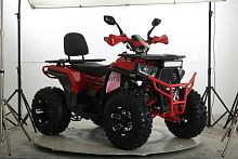 Квадроцикл FXMOTO (ФХмото) WASP 250 зелёный (машинокомплект)