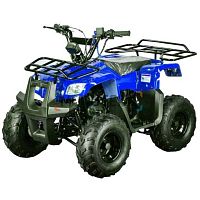 Квадроцикл детский MotoLand (Мотолэнд) VOX110 RIDER синий (машинокомплект)