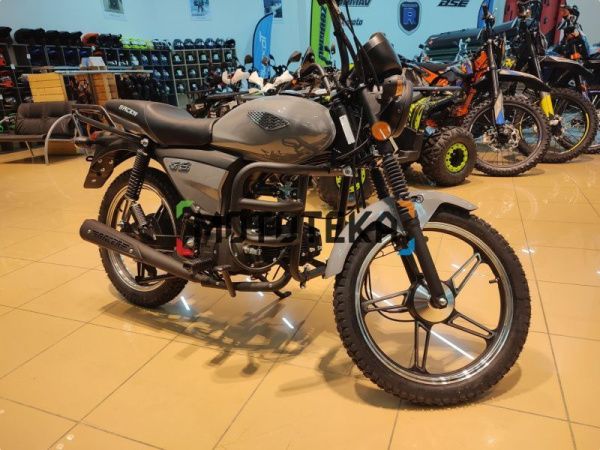 Мопед Racer (Рейсер) RC50 (110) ALPHA M1 серый | Мототека