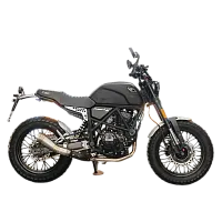 Мотоцикл дорожный FUEGO (Фуэго) Scrambler 250 Air чёрный с ПТС