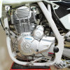 Мотоцикл кроссовый / эндуро Avantis (Авантис) FX 250 Lux (PR250/172FMM - 5, возд.охл., баланс. вал) 2021 с ПТС - купить с доставкой, по выгодной цене в интернет-магазине Мототека