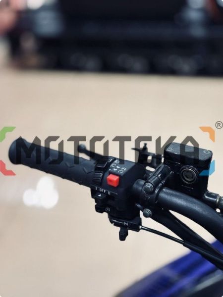 Снегоход IRBIS (Ирбис) TUNGUS (Тунгус) 400 2024 чёрный/синий с ПСМ | Мототека