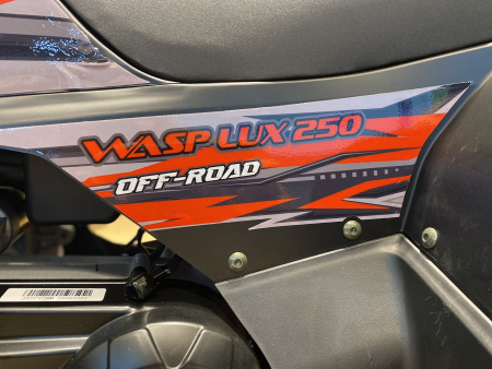 Квадроцикл FXMOTO (ФХмото) WASP 250 чёрный (машинокомплект) - купить с доставкой, цены в интернет-магазине Мототека
