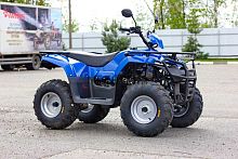 Квадроцикл IRBIS (Ирбис) ATV 200 2024 синий с ПСМ