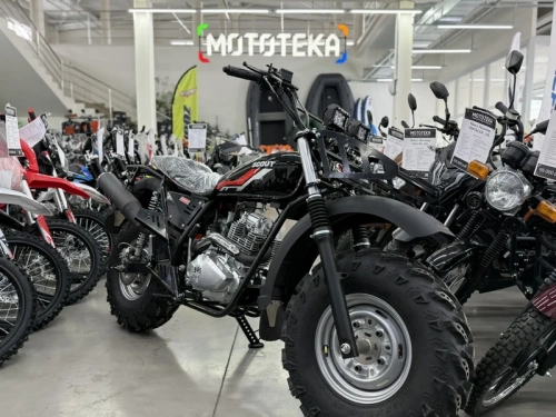 Мотоцикл внедорожный СКАУТ-10 PR300 фото 8 Мотоцикл внедорожный СКАУТ-10 PR300 фото 8