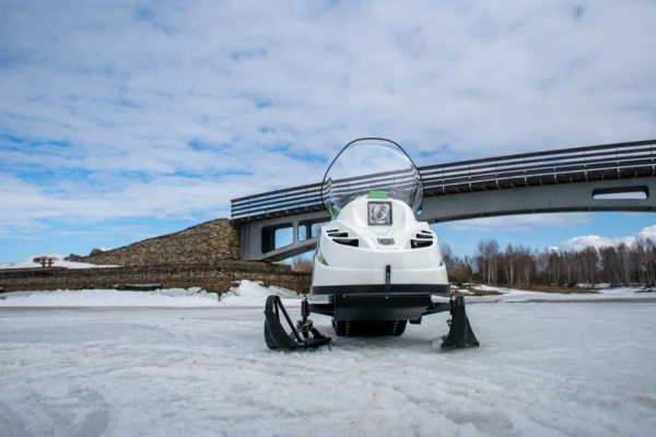 Снегоход БТС Арктик - 4Т 20 л.с. белый (машинокомплект) | Мототека