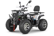 Квадроцикл Yacota (Якота) VIKING 200 PRO синий (машинокомплект)