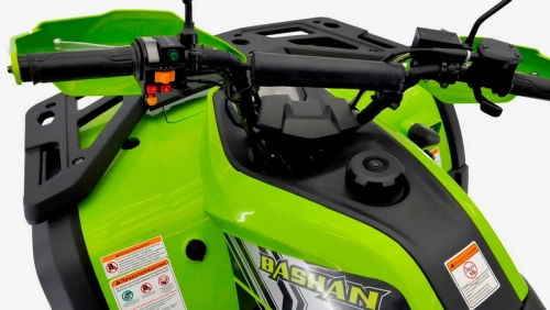 Квадроцикл BASHAN EXPLORER 300 EFI green с ПСМ фото 16