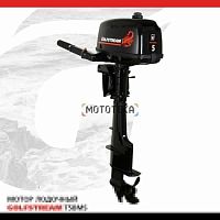 Лодочный мотор GOLFSTREAM (Гольфстрим) T5BMS