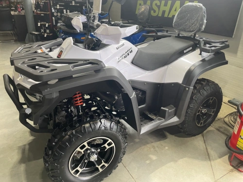 Квадроцикл BASHAN EXPLORER 320 EFI white с ПСМ фото 4